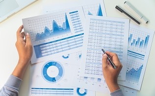 Técnico Economista y financiero